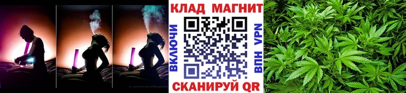 Виды наркотиков купить Щёлково Бошки Шишки  Alpha PVP  МЕФ  АМФ  Cocaine 